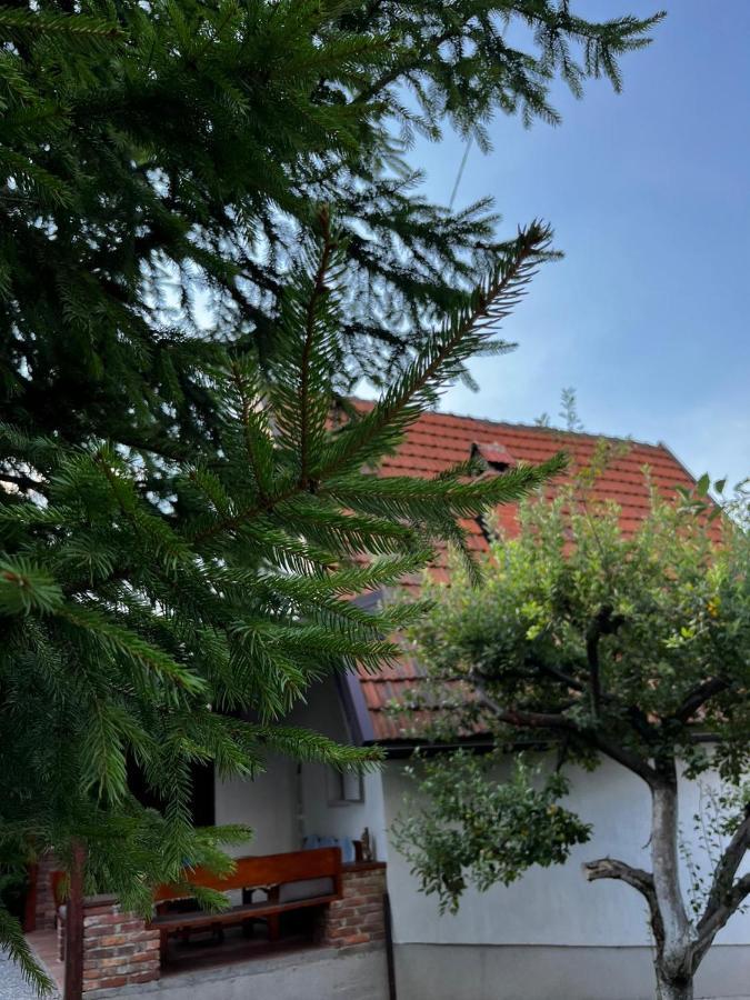 Holiday Home Amila Високо Екстериор снимка