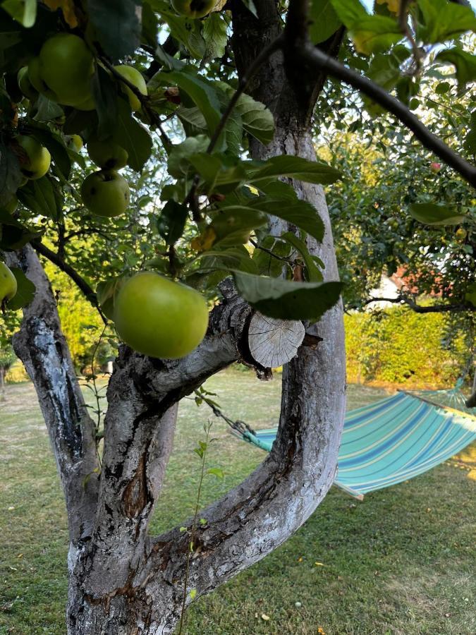 Holiday Home Amila Високо Екстериор снимка